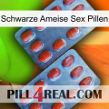Black Ant Sex Pills 05